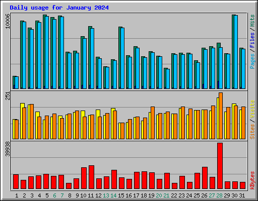 Daily usage for January 2024