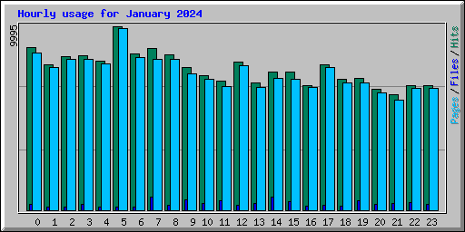 Hourly usage for January 2024