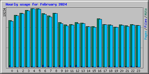 Hourly usage for February 2024