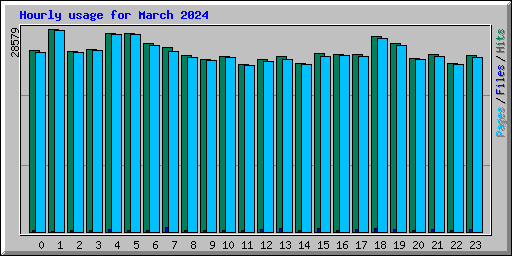 Hourly usage for March 2024