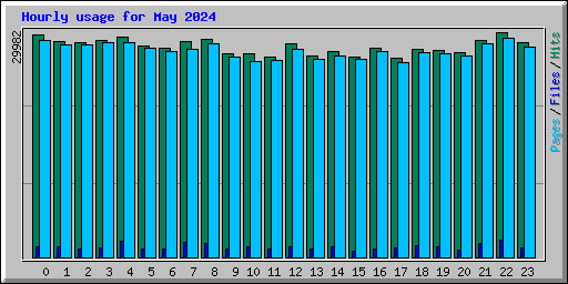 Hourly usage for May 2024