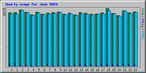 Hourly usage for June 2024