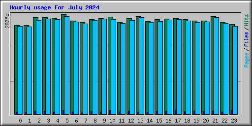 Hourly usage for July 2024