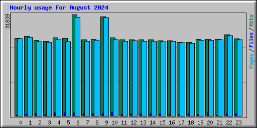 Hourly usage for August 2024