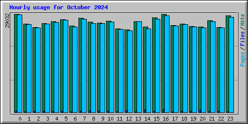 Hourly usage for October 2024