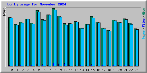 Hourly usage for November 2024