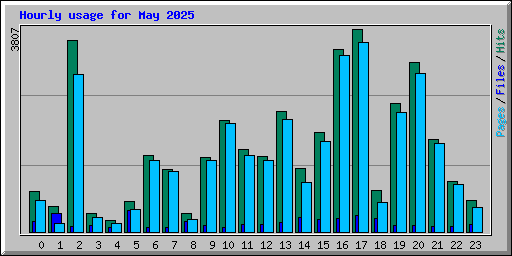 Hourly usage for May 2025