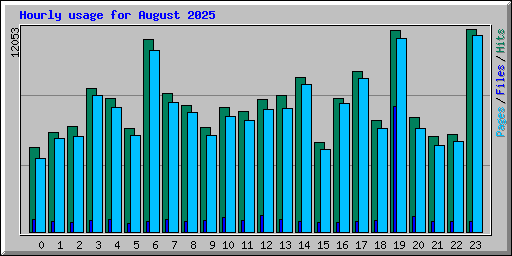 Hourly usage for August 2025